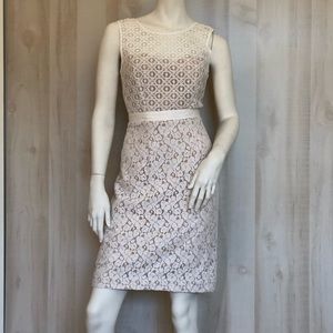 BCBG | Alice Lace Sheath Dress | 4